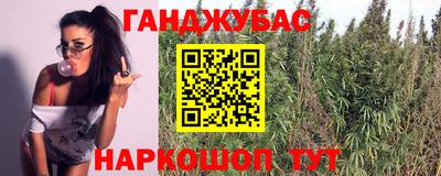 mdpv Лесосибирск